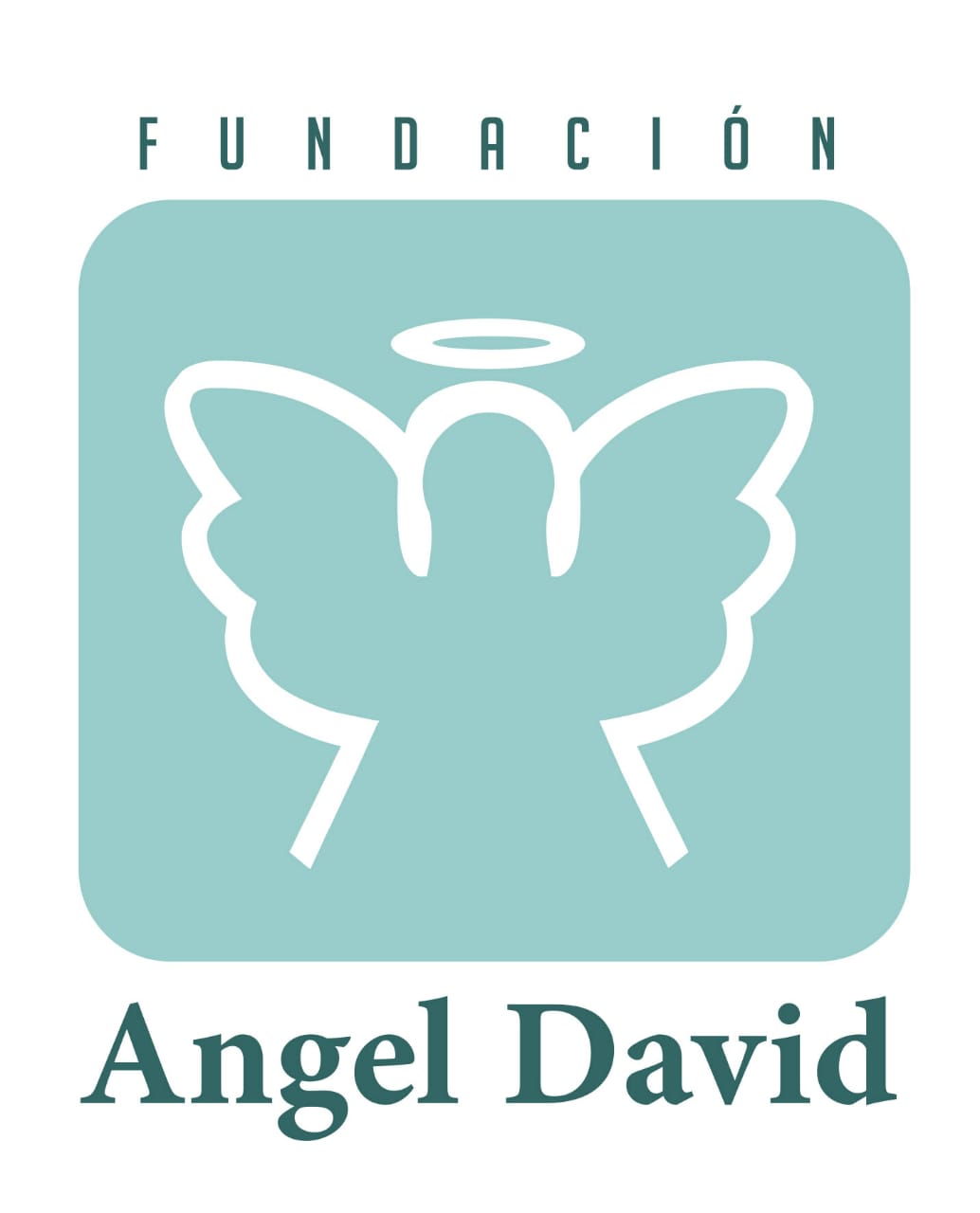 Fundación Ángel David